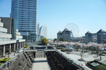 2017年4月13日～4月16日：第113回日本医学物理学会学術大会